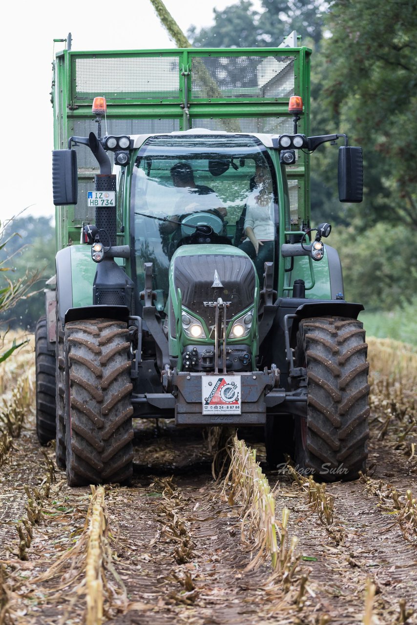 Bild 205 - Maisernte